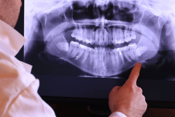Best Emergency X-Rays and Diagnostics in White Sulphur Springs, WV