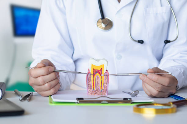 Best Walk-In Emergency Dental Services in White Sulphur Springs, WV